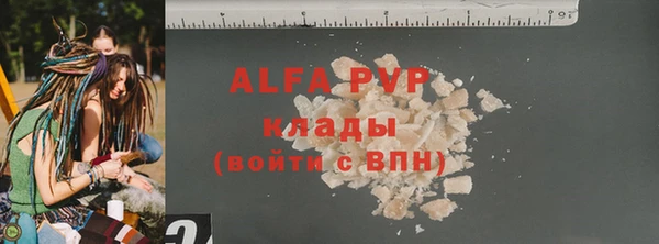 прущие грибы Белокуриха