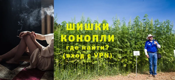 прущие грибы Белокуриха