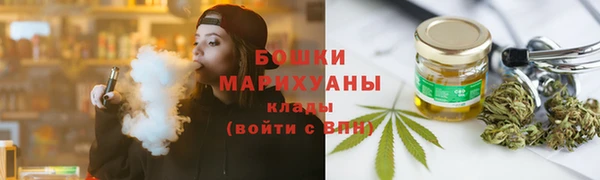 прущие грибы Белокуриха