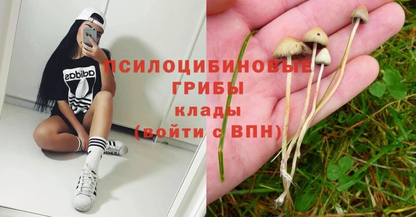 кокс Беломорск
