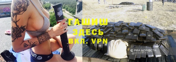 прущие грибы Белокуриха