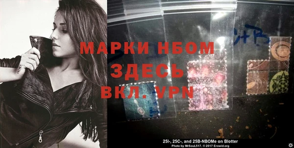 прущие грибы Белокуриха