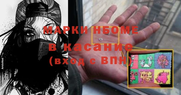 прущие грибы Белокуриха