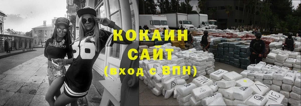 прущие грибы Белокуриха