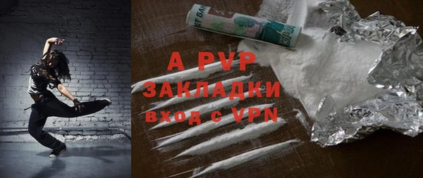 прущие грибы Белокуриха
