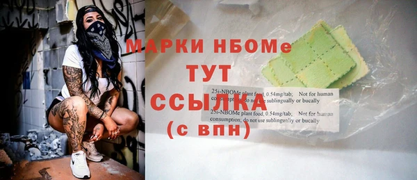 прущие грибы Белокуриха