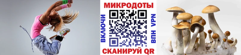 как найти закладки Ворсма Псилоцибиновые грибы ЛСД